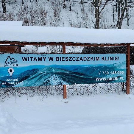 Villa Bieszczadzki Klin Bklin à Cisna Extérieur photo