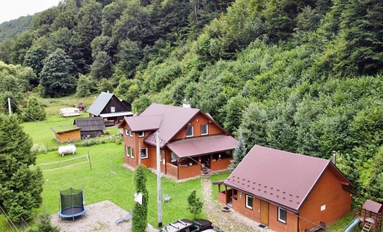 Villa Bieszczadzki Klin Bklin à Cisna Extérieur photo