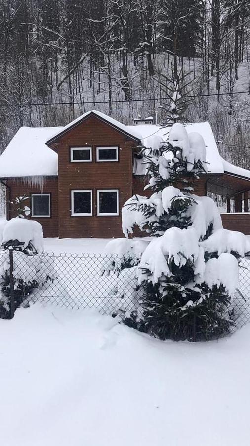 Villa Bieszczadzki Klin Bklin à Cisna Extérieur photo