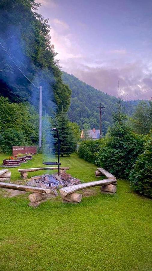 Villa Bieszczadzki Klin Bklin à Cisna Extérieur photo
