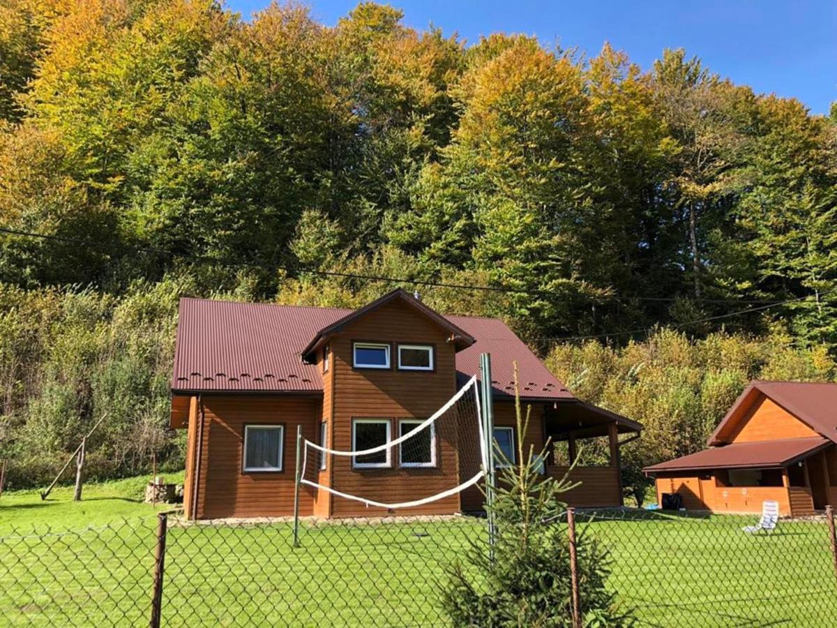 Villa Bieszczadzki Klin Bklin à Cisna Extérieur photo