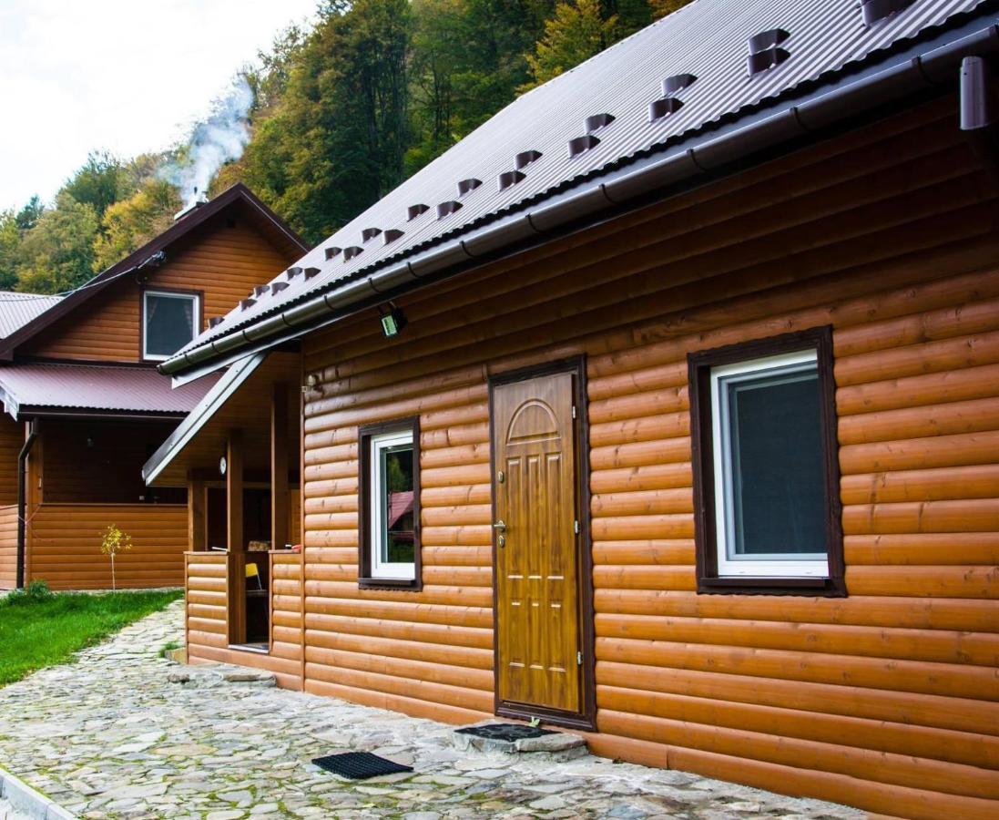 Villa Bieszczadzki Klin Bklin à Cisna Extérieur photo