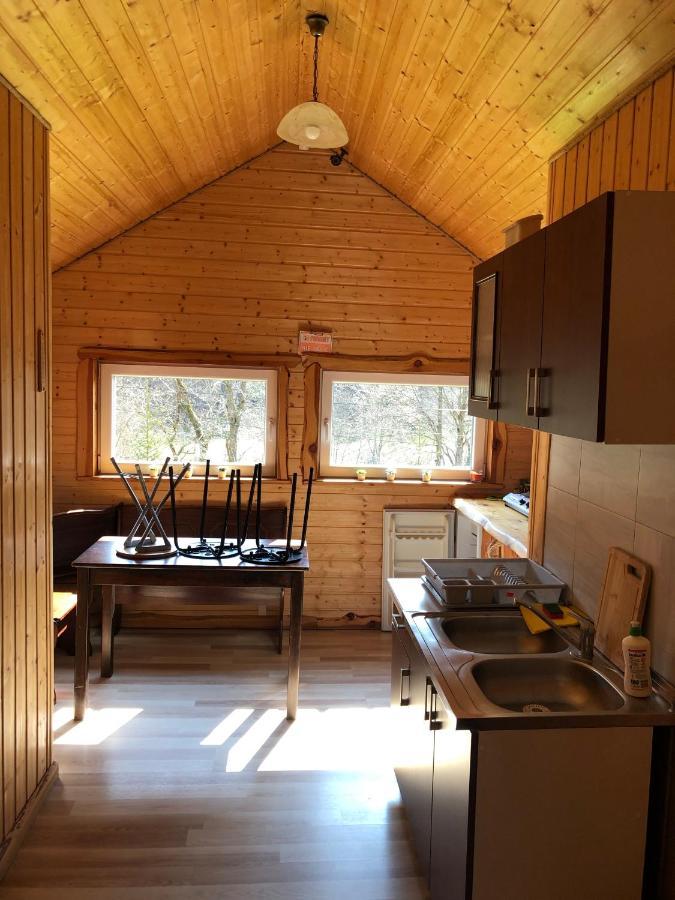 Villa Bieszczadzki Klin Bklin à Cisna Extérieur photo