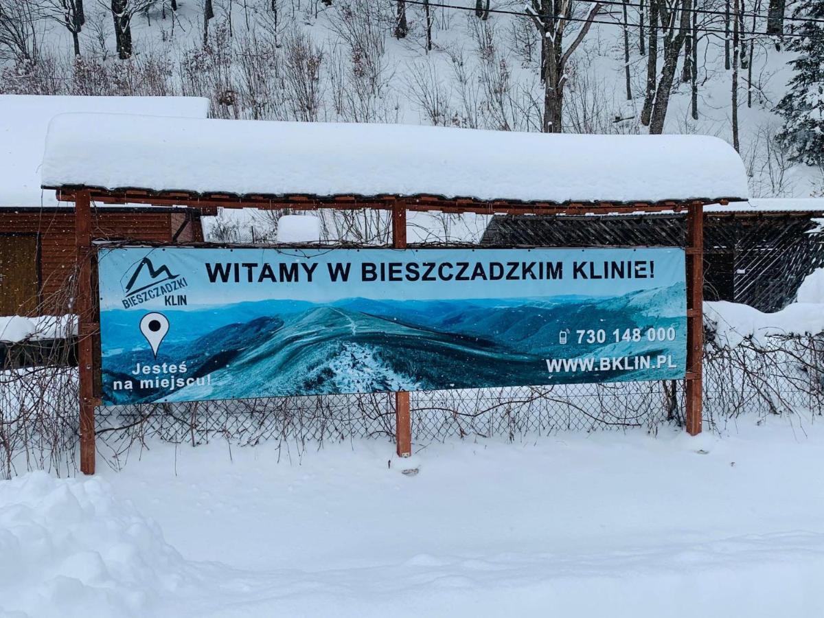 Villa Bieszczadzki Klin Bklin à Cisna Extérieur photo