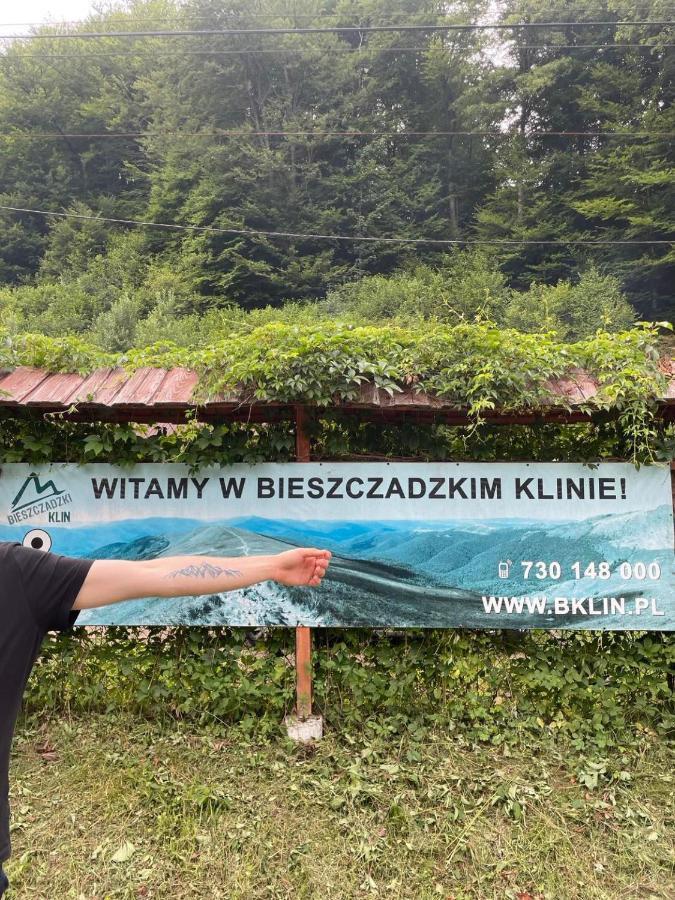 Villa Bieszczadzki Klin Bklin à Cisna Extérieur photo