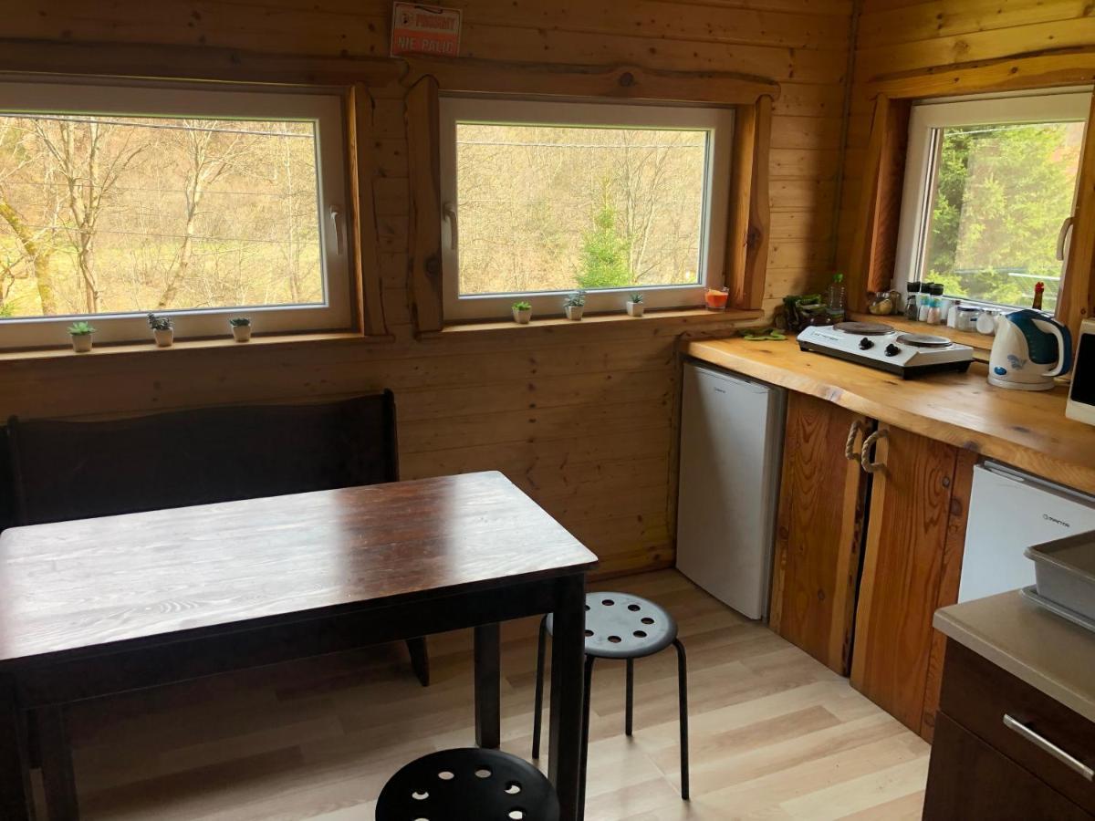 Villa Bieszczadzki Klin Bklin à Cisna Extérieur photo