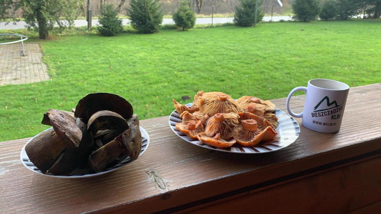Villa Bieszczadzki Klin Bklin à Cisna Extérieur photo
