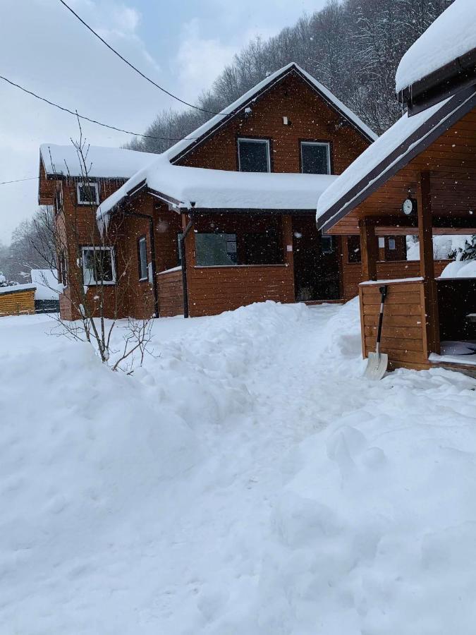 Villa Bieszczadzki Klin Bklin à Cisna Extérieur photo