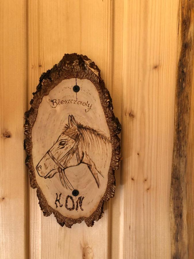 Villa Bieszczadzki Klin Bklin à Cisna Chambre photo